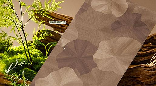 丝绒木语•暖屿层秋 | 秋日的温柔，每一寸都涌动成诗